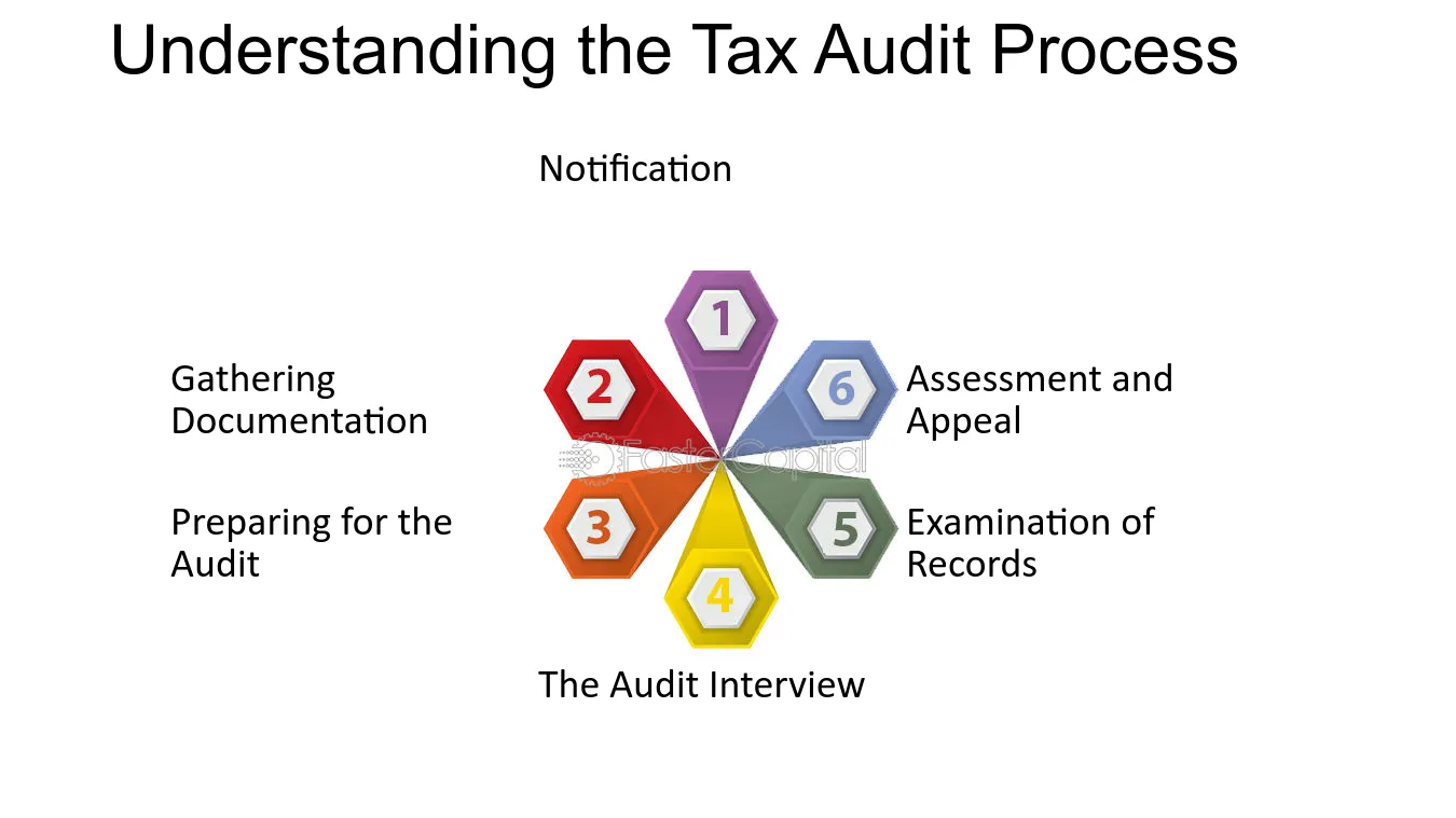 What are the methods of tax audit?